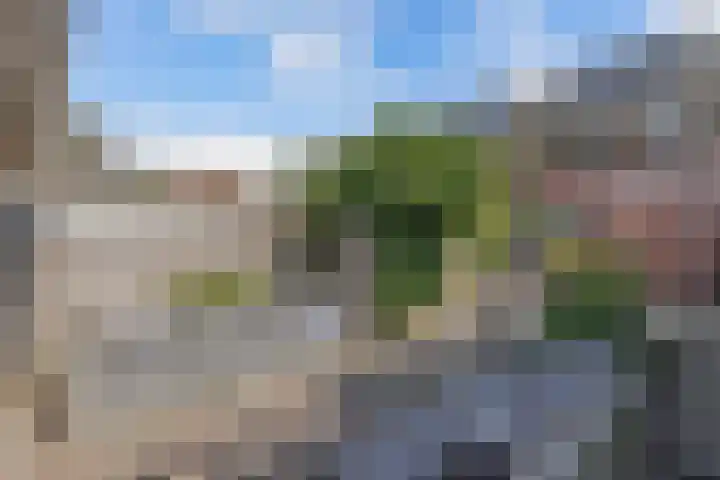 De Nova Cura 263 Drachten thumbnail 44
