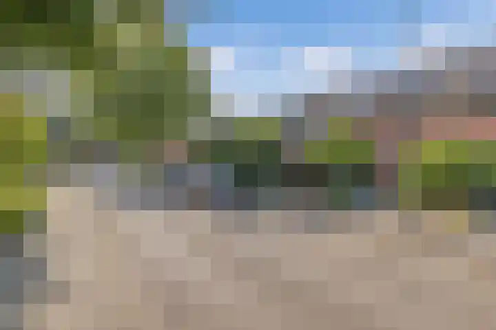 De Nova Cura 263 Drachten thumbnail 46