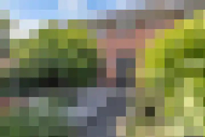 De Nova Cura 263 Drachten thumbnail 7