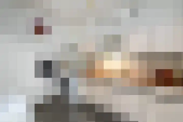 De Nova Cura 99 Drachten thumbnail 13