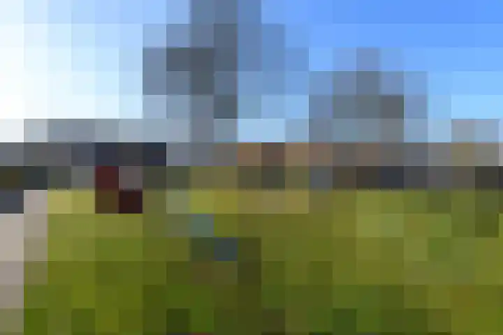 De Nova Cura 99 Drachten thumbnail 37