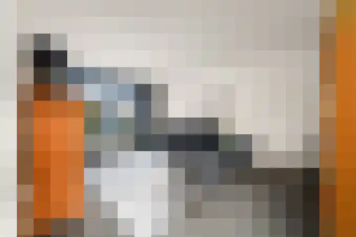 De Nova Cura 99 Drachten thumbnail 5