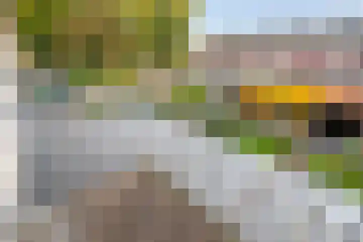 De Oeverloper 65 Dronten thumbnail 15