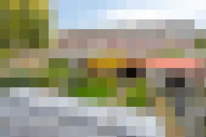 De Oeverloper 65 Dronten thumbnail 16