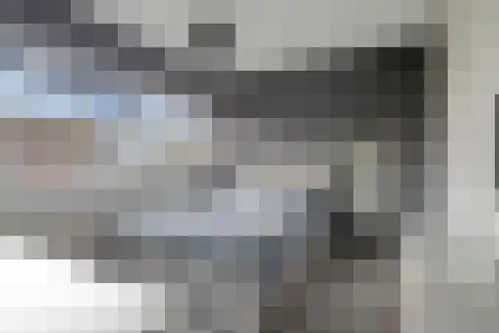 De Oeverloper 65 Dronten thumbnail 19
