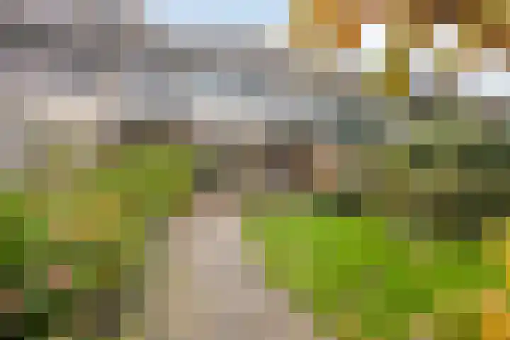 De Oeverloper 65 Dronten thumbnail 32