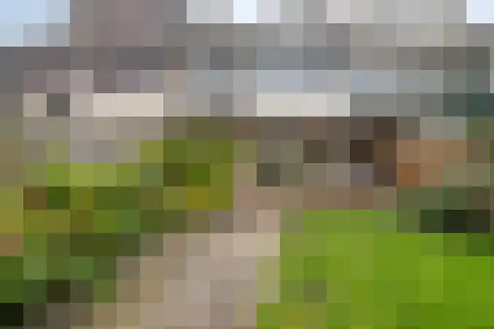 De Oeverloper 65 Dronten thumbnail 33