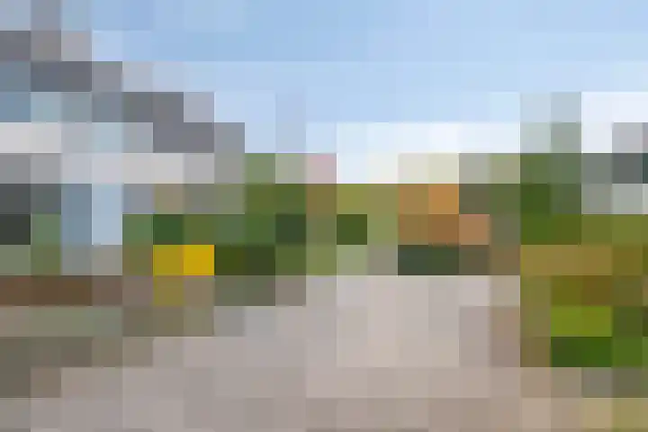 De Oeverloper 65 Dronten thumbnail 38