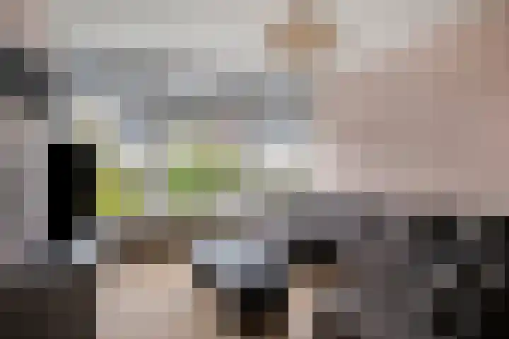 De Oeverloper 65 Dronten thumbnail 4
