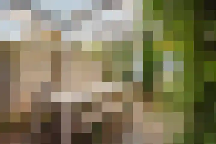 De Olmen 2 Zevenaar thumbnail 19