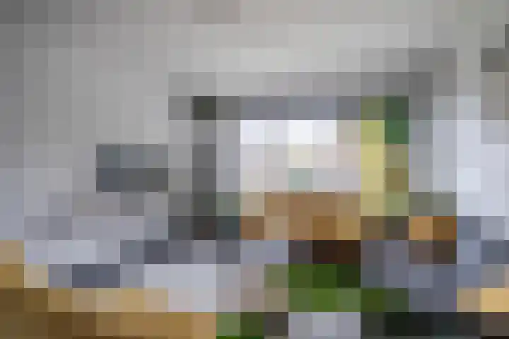 De Olmen 2 Zevenaar thumbnail 7