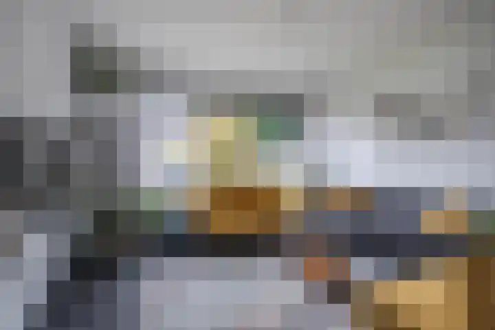 De Olmen 2 Zevenaar thumbnail 8