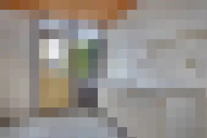 De Olmen 30 Zevenaar thumbnail 10