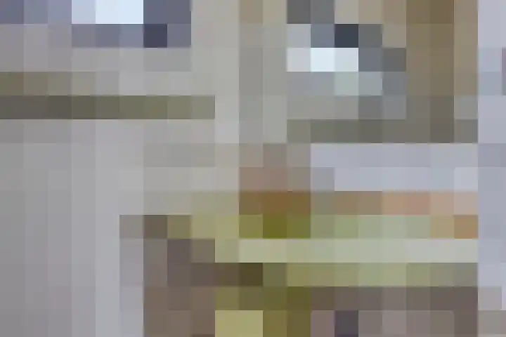 De Olmen 30 Zevenaar thumbnail 16