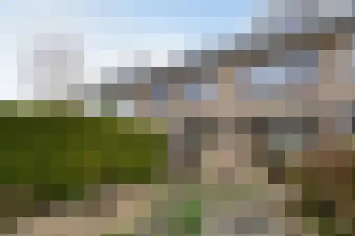 De Olmen 30 Zevenaar thumbnail 23