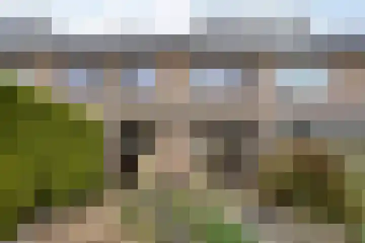 De Olmen 30 Zevenaar thumbnail 24