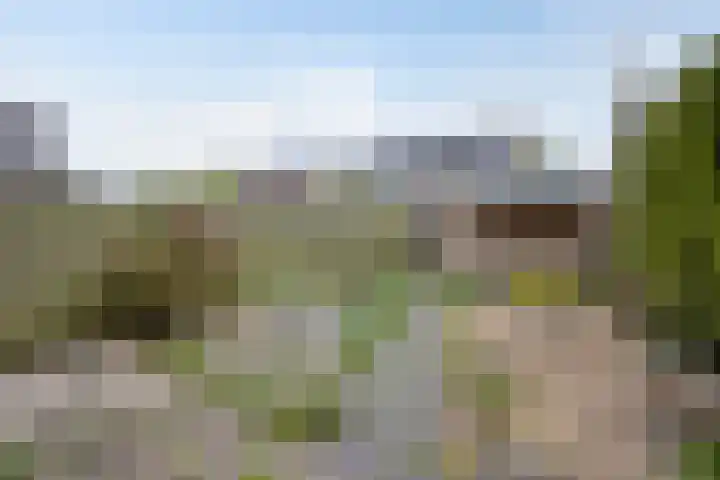 De Olmen 30 Zevenaar thumbnail 25