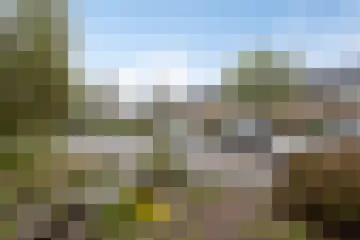 De Olmen 30 Zevenaar thumbnail 26