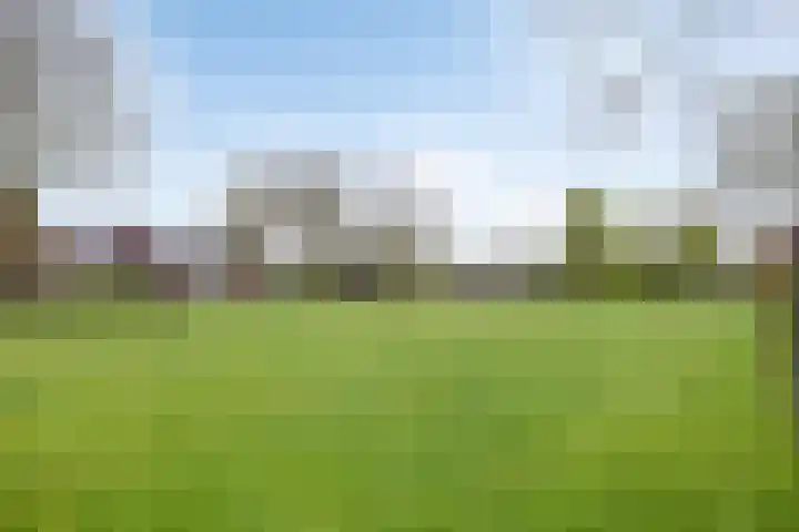 De Olmen 30 Zevenaar thumbnail 27