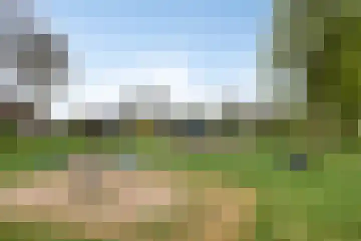 De Olmen 30 Zevenaar thumbnail 28
