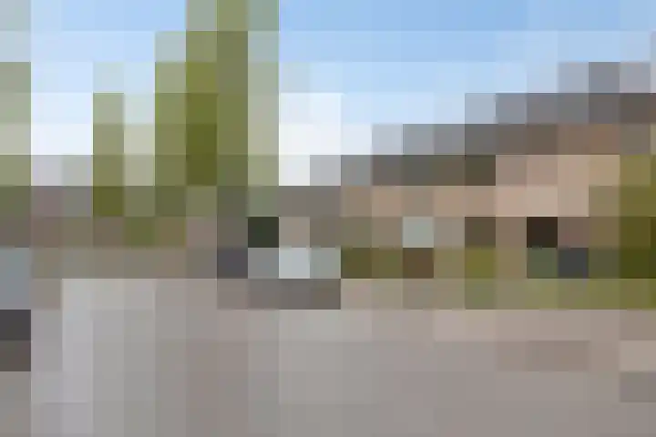 De Olmen 30 Zevenaar thumbnail 29