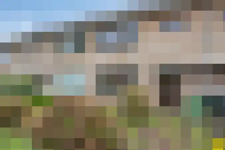 De Olmen 30 Zevenaar thumbnail 31