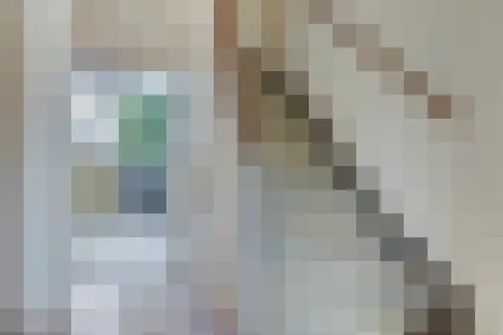 De Olmen 30 Zevenaar thumbnail 4