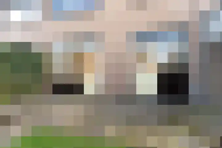 De Olmen 8 Zevenaar thumbnail 27