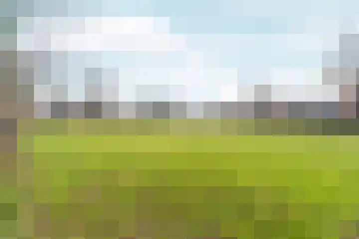 De Olmen 8 Zevenaar thumbnail 30