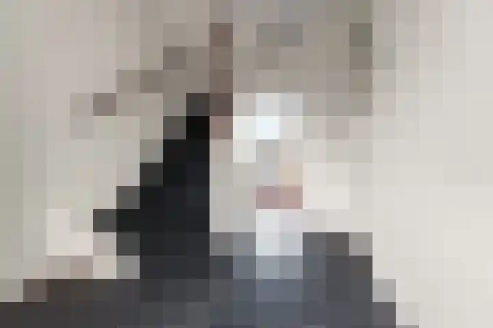 De Olmen 8 Zevenaar thumbnail 4