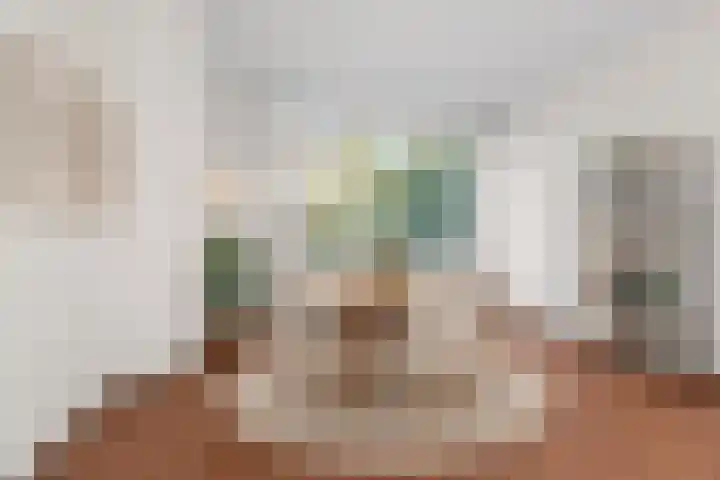 De Olmen 8 Zevenaar thumbnail 9