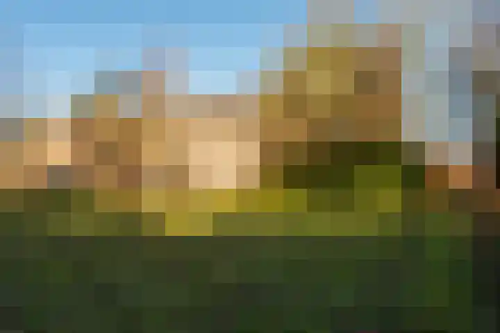 De Olvendijk 21 Heiloo thumbnail 34