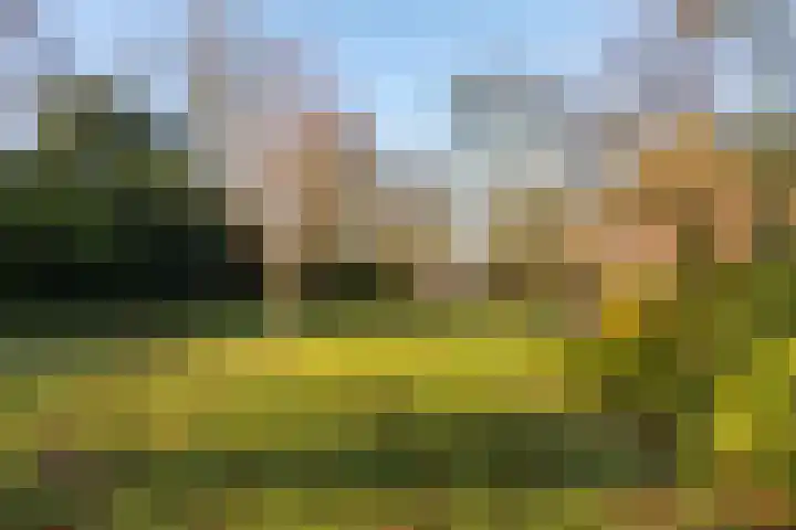 De Olvendijk 21 Heiloo thumbnail 36