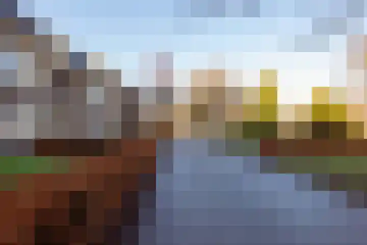 De Olvendijk 21 Heiloo thumbnail 41