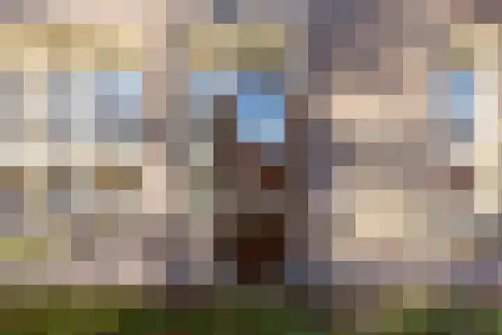 De Olvendijk 21 Heiloo thumbnail 9