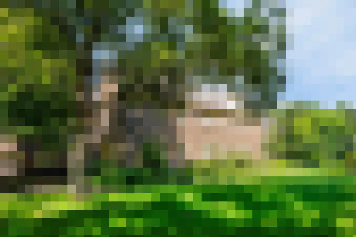 De Olvendijk 53 Heiloo thumbnail 19