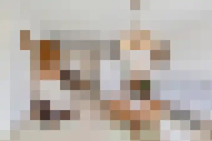 De Omloop 12 d Blijham thumbnail 22