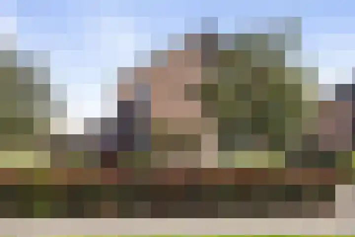 De Omloop 15 Klazienaveen thumbnail 42
