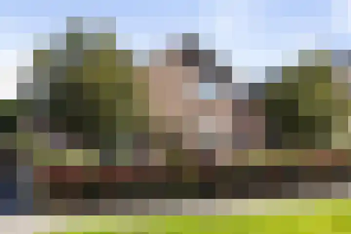 De Omloop 15 Klazienaveen thumbnail 43