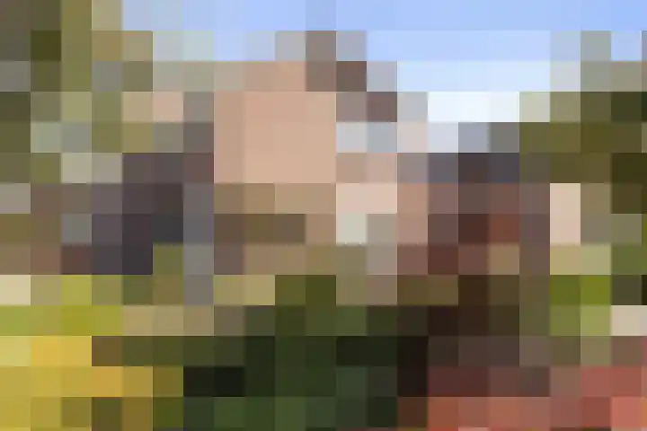 De Omloop 15 Klazienaveen thumbnail 46