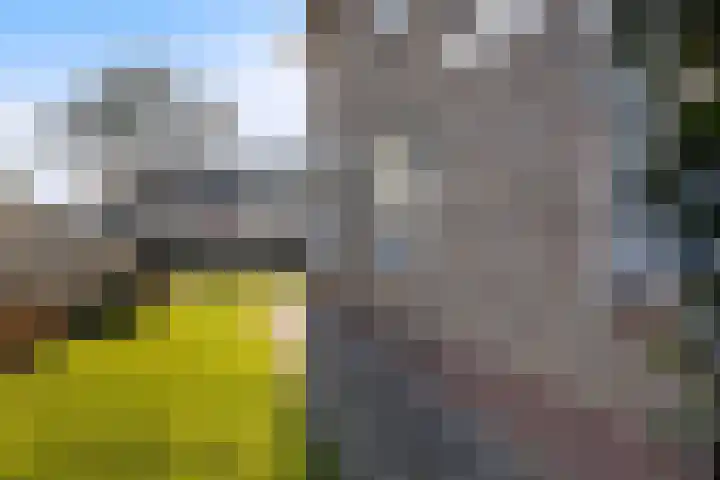 De Omloop 23 Klazienaveen thumbnail 32