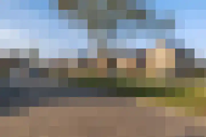 De Omloop 23 Klazienaveen thumbnail 39
