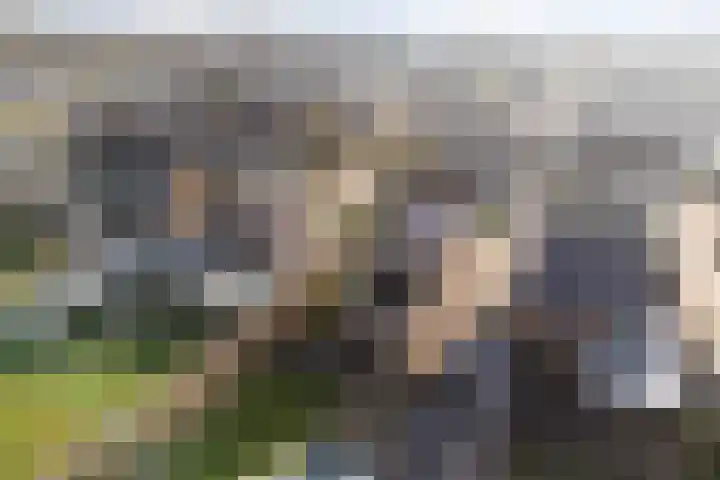 De Omloop 23 Klazienaveen thumbnail 45