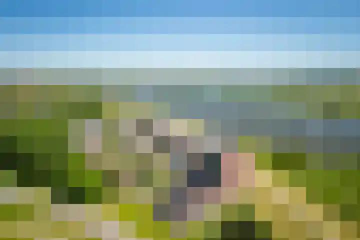 de Omloop 32 Kampen foto 2