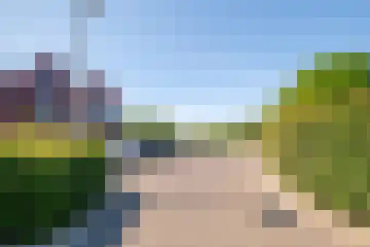 de Omloop 32 Kampen thumbnail 47