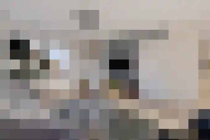 De Omrin 40 Winsum thumbnail 10