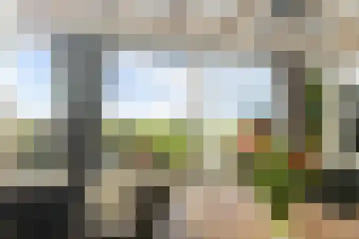 De Omrin 40 Winsum thumbnail 13
