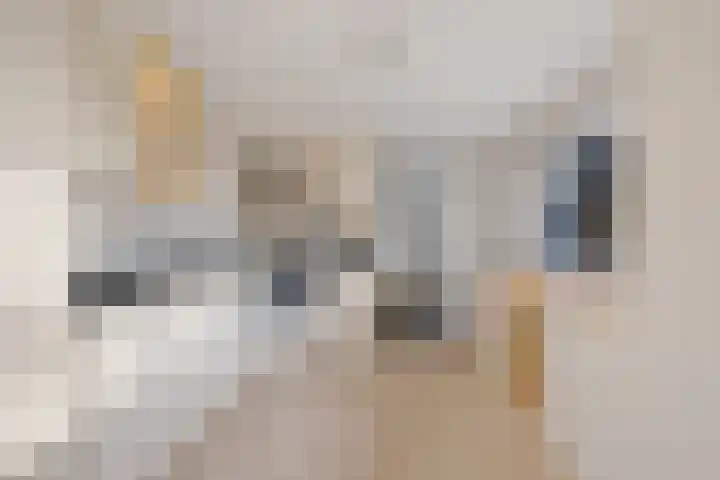 De Omrin 40 Winsum thumbnail 15