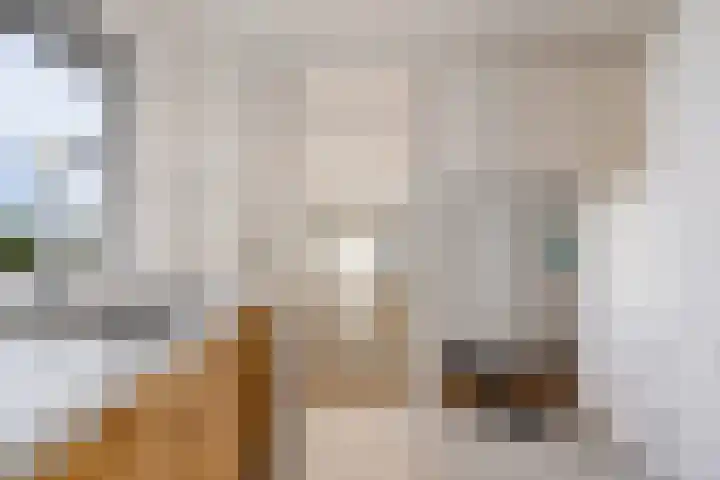 De Omrin 40 Winsum thumbnail 17