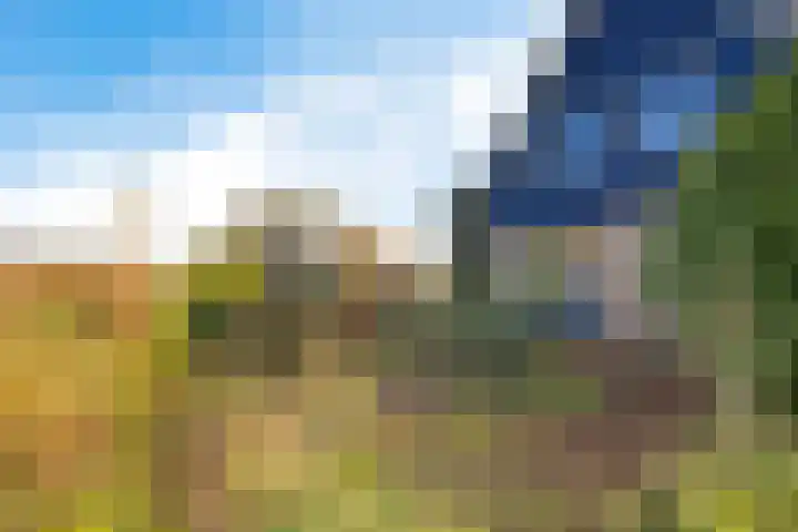 De Omrin 40 Winsum thumbnail 21